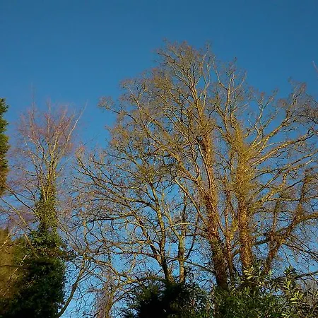 Thornybank-3