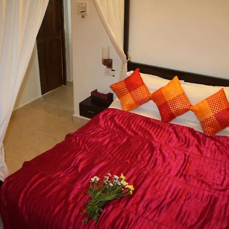 The Village Resort Palolem-3