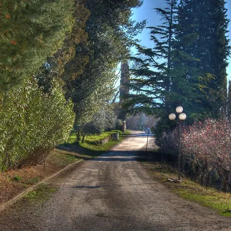 Assisi Garden-2