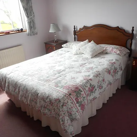 Springfield House B&B-2