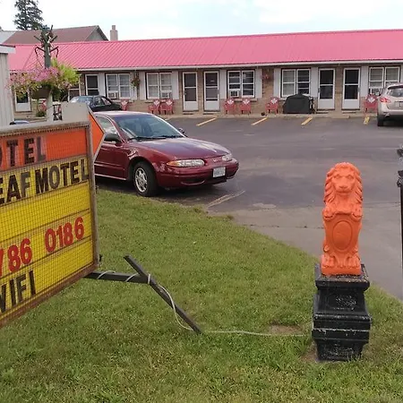 Maple Leaf Motel-3