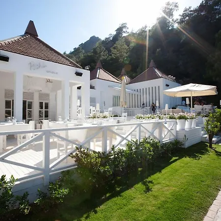 Hillside Beach Club-3