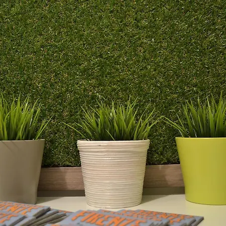 Green Domus-2