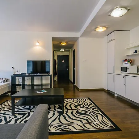 Luxury Downtown Apartments-3