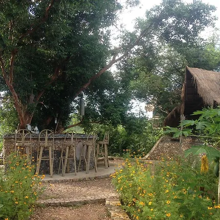 Sanctuaria Treehouses-3