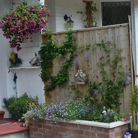 Merriedale Guest House-3