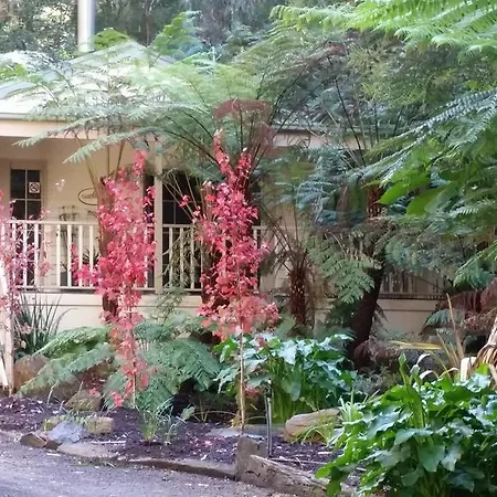 Myers Creek Cascades Luxury Cottages-2