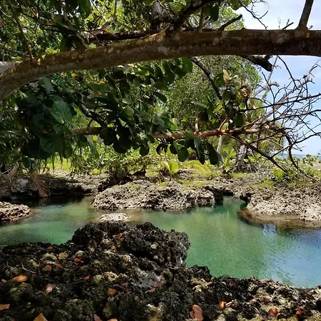 Piscina Natural On The Sea-3