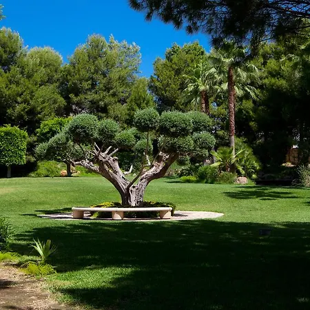 Jardines De Amaltea-2