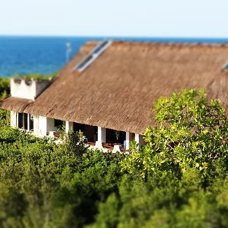 The Blue Orchid Resort-2