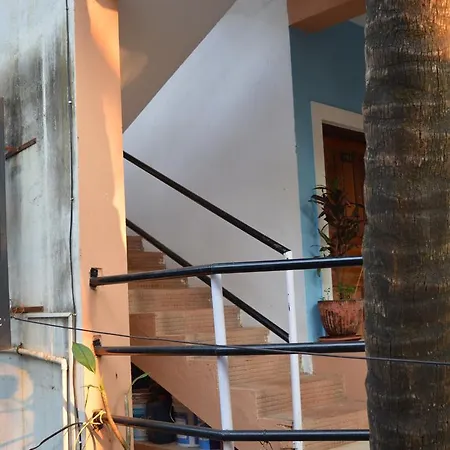Cactus Guesthouse-2