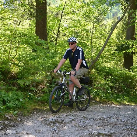 Gasthof Roitner-3