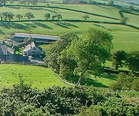 Alltyfyrddin Farm Guest House At The Merlin'S Hill Centre-3