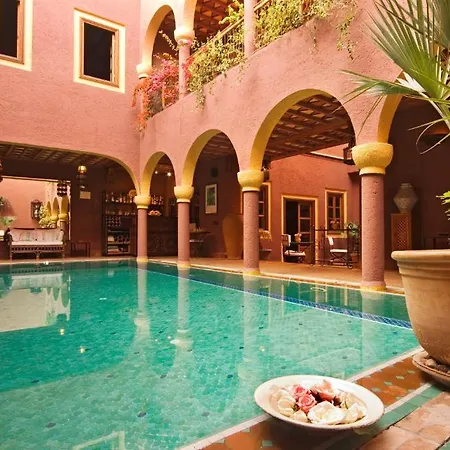 Riad Noga-3