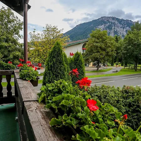 Pension Rauschberghof-3