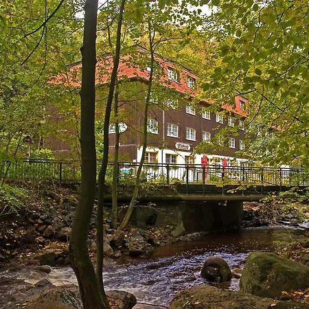 Waldhotel Am Ilsestein-2