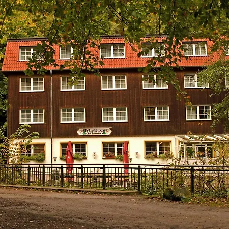 Waldhotel Am Ilsestein-3