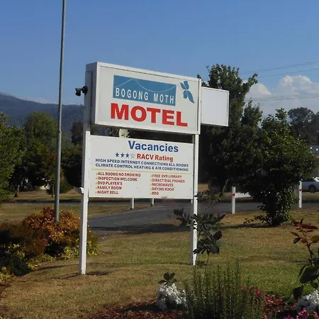Bogong Moth Motel-2