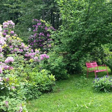 Hotel am Bach-2