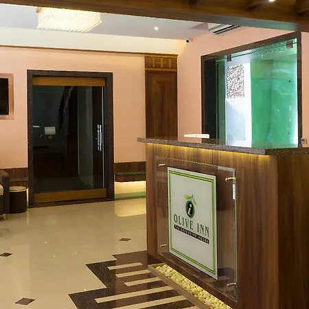 Treebo Olive Inn Near Bkc-2