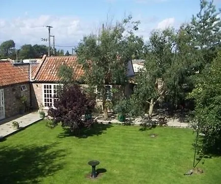 Yew Tree House - B&B-2