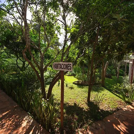 My Hotel Eco Lodge-2