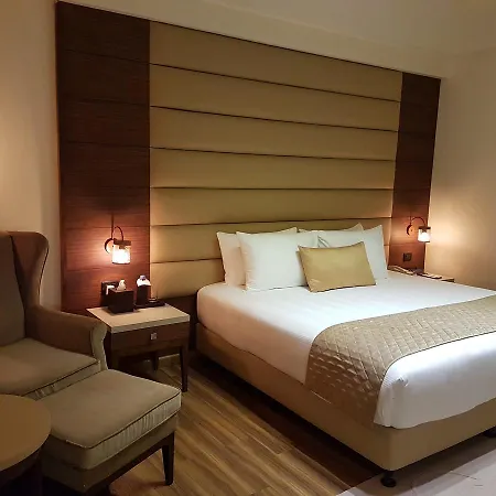 Udman Hotels And Resorts By Ferns N Petals-3