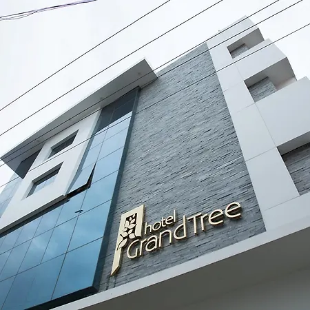 Hotel Grand Tree-3