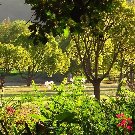 Muratie Wine Estate-3
