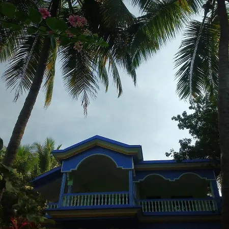 The Purple House-3