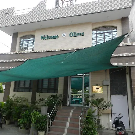 Welcome Olives-2
