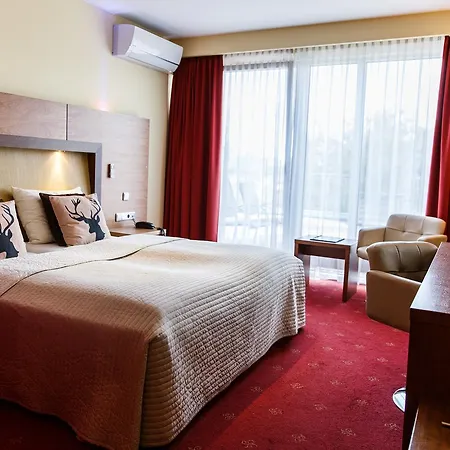 Hotel Salzburg Airport-3