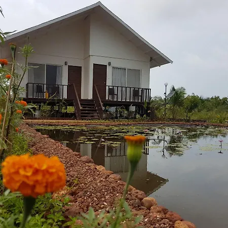 Exotica Beach Retreats Diveagar-2