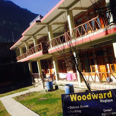 Woodward Magique Kasol-3