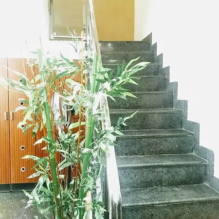 Olive Grand-2