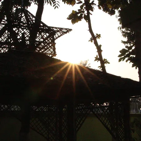 Sachi Home-2