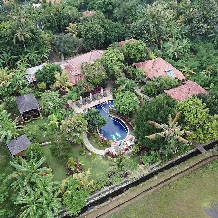Sawah Lovina-2