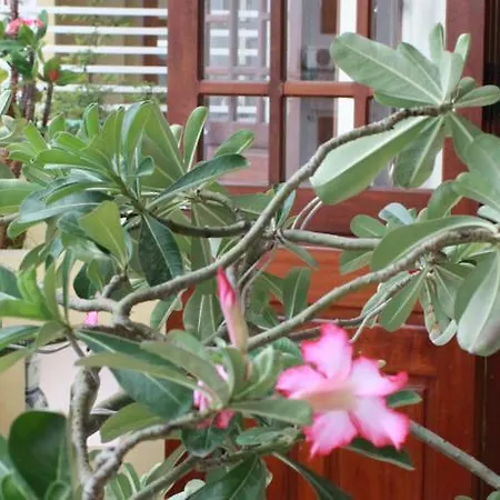 Phong Lan Guesthouse-2