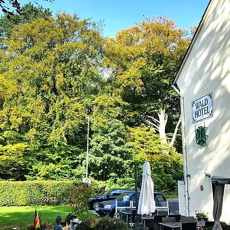 Wald-Hotel-3