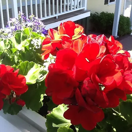 Harbor House Inn-2