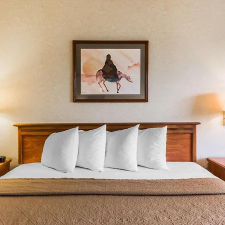 Quality Inn & Suites Montrose - Black Canyon Area-3