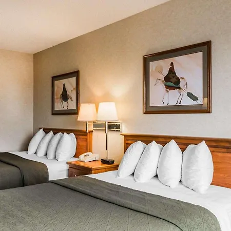 Quality Inn & Suites Montrose - Black Canyon Area-2