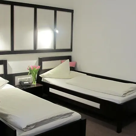 Hotel Anlage Heidelberg-3