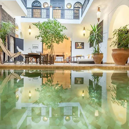 Riad Danka-3
