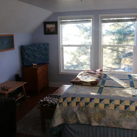 Sunshine House Bed And Breakfast-2