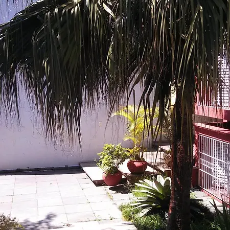 Comodita-3