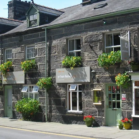 Yr Hen Fecws-3