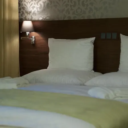 Wellness Hotel Loewe-2