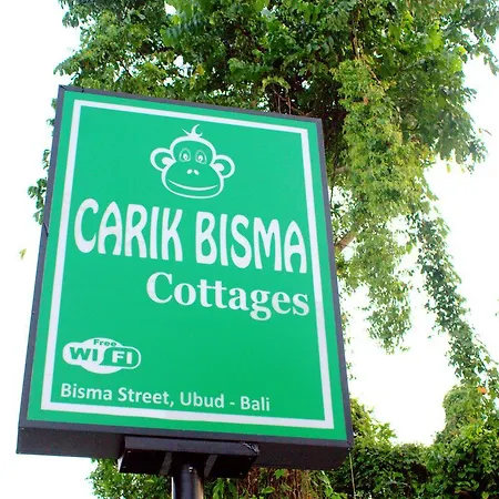 The Carik Bisma Ubud-3