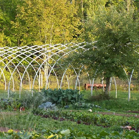 Green Dragon Organic Farm And B&B-2